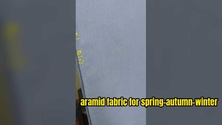 Aramidgewebe für Frühlings-Herbst-Winter-Arbeitskleidung