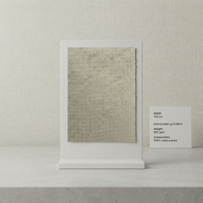 Aramid-Gitterstoff